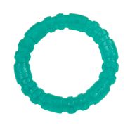 Li'l Pals Antimicrobial Toy 4" Ring Teal
