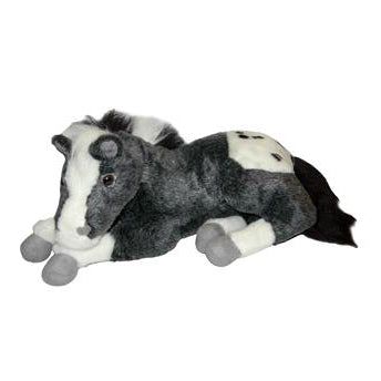 Lying Appaloosa Colt