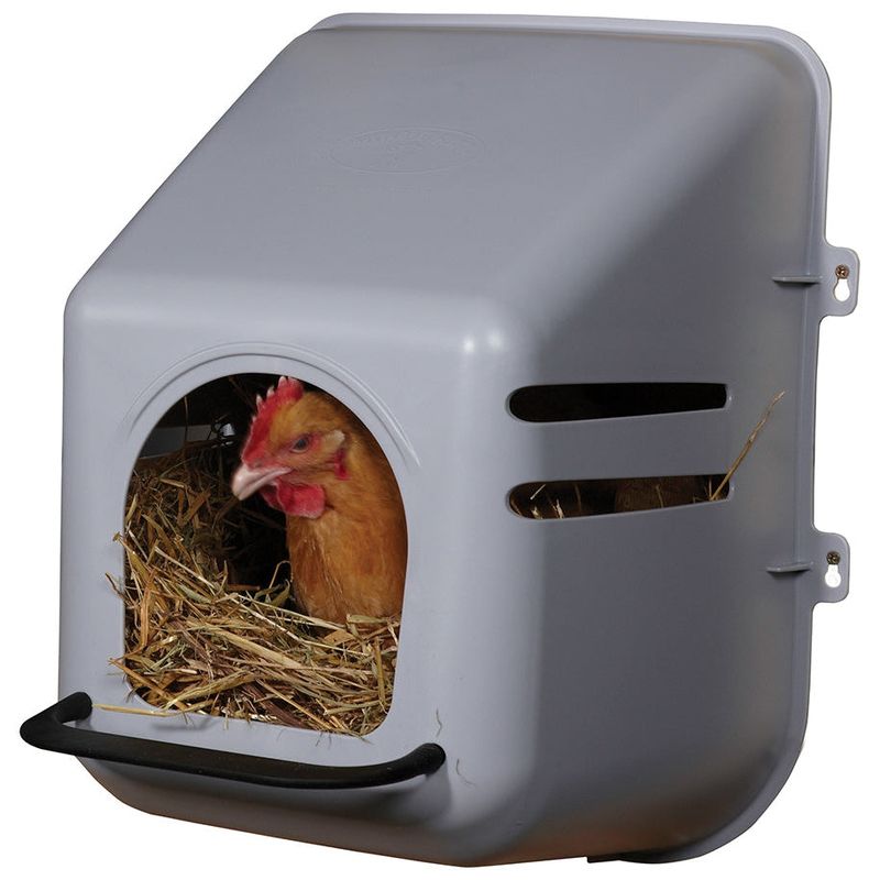 Poultry Nesting Box