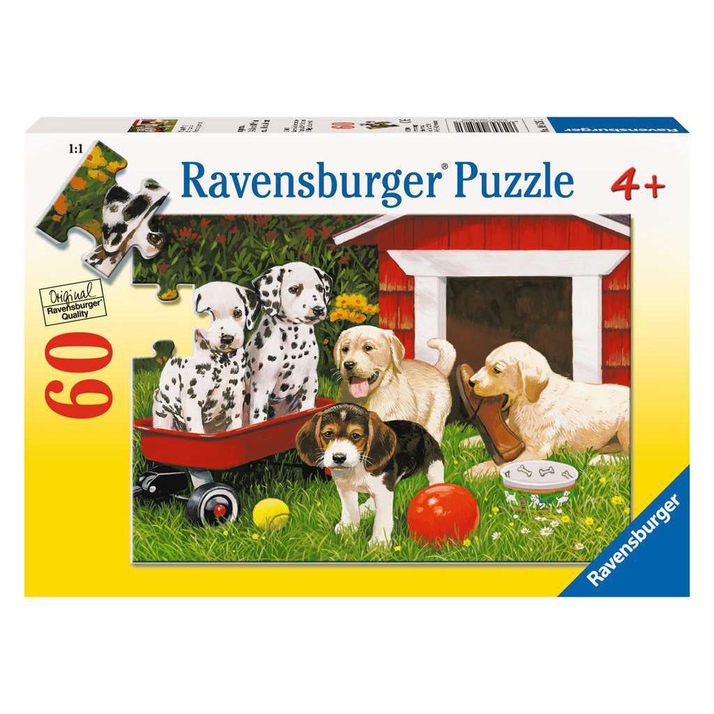 Puppy Party 60pc