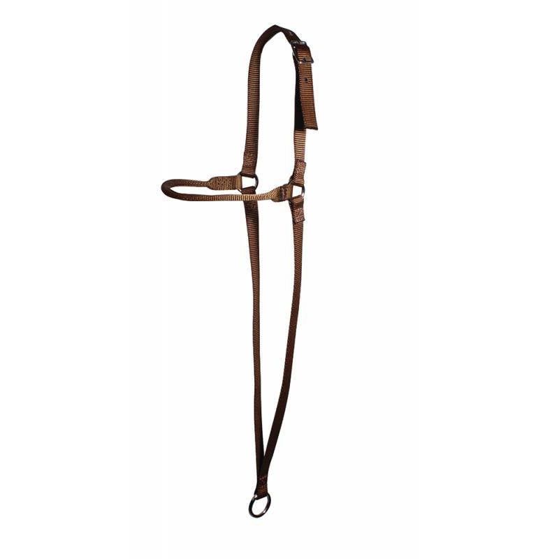 Professional's Choice War Bonnet Chocolate Webbing