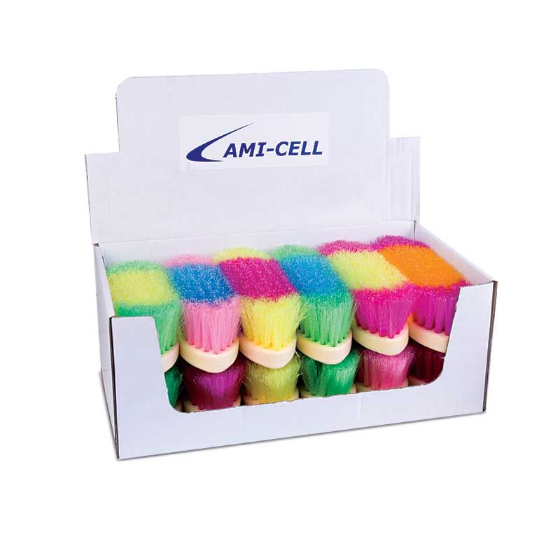 Rainbow Brush 8" Hard Bristle Assorted