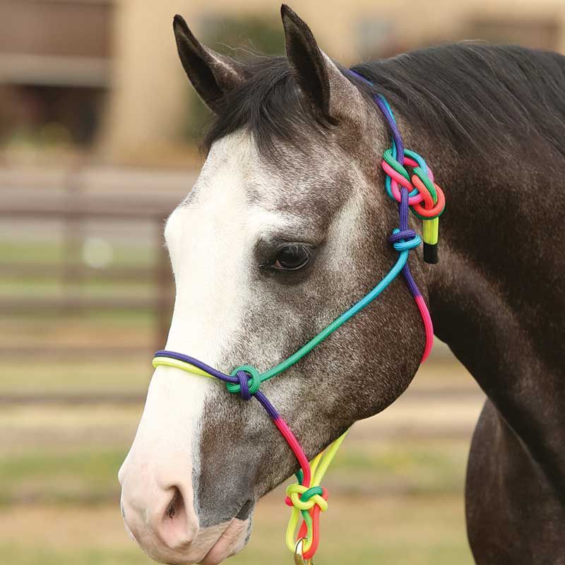 Rainbow Rope Halter by Equi-Sky