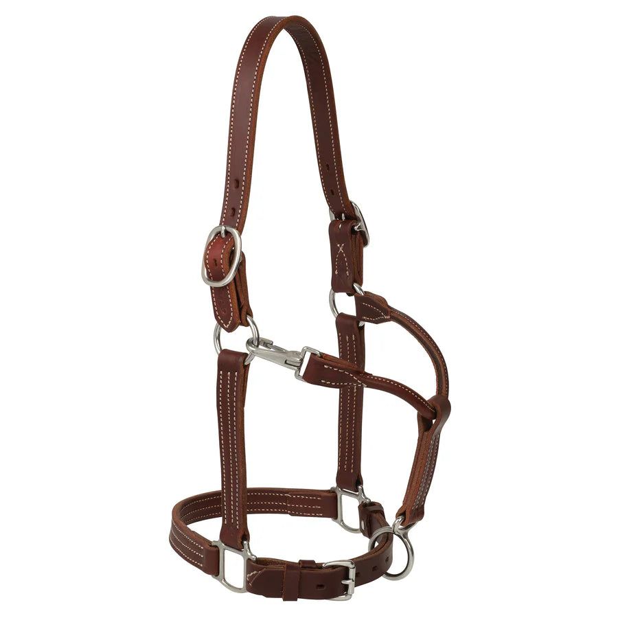 Ranch Horse Halter- Canyon Rose
