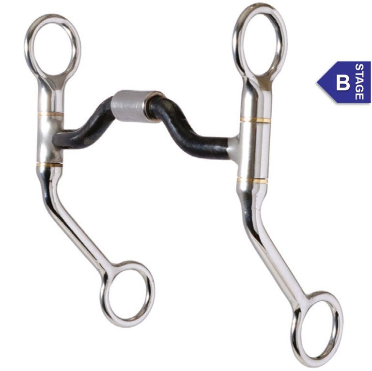 Reinsman Stage B Easy Rider Sweet Iron Low Ported Barrel