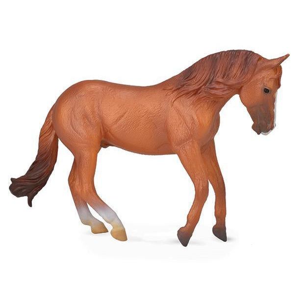 Reeves Australian Stock Horse Stallion