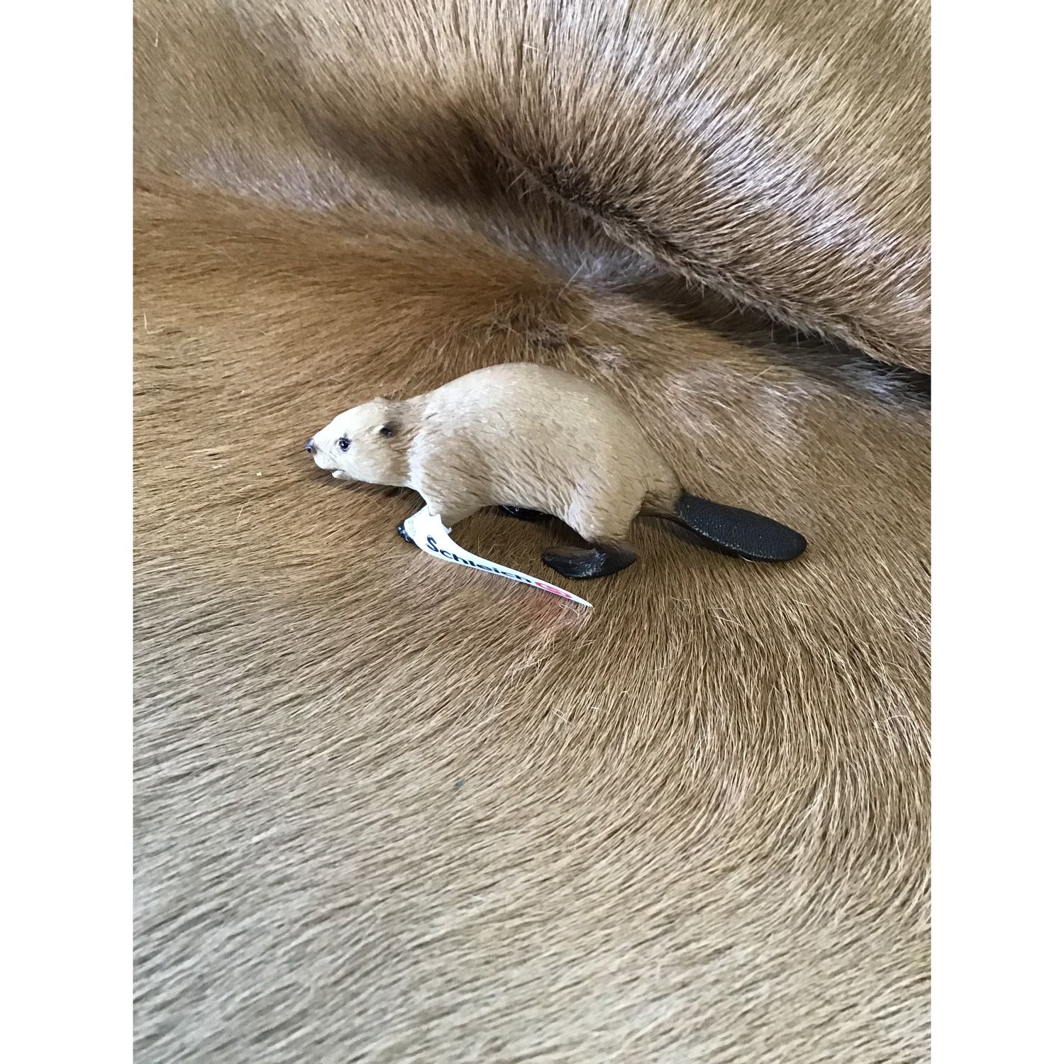 Schleich Beever