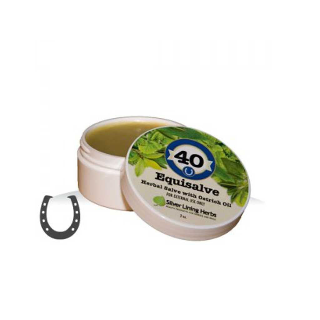 Silver Lining Salve 2oz