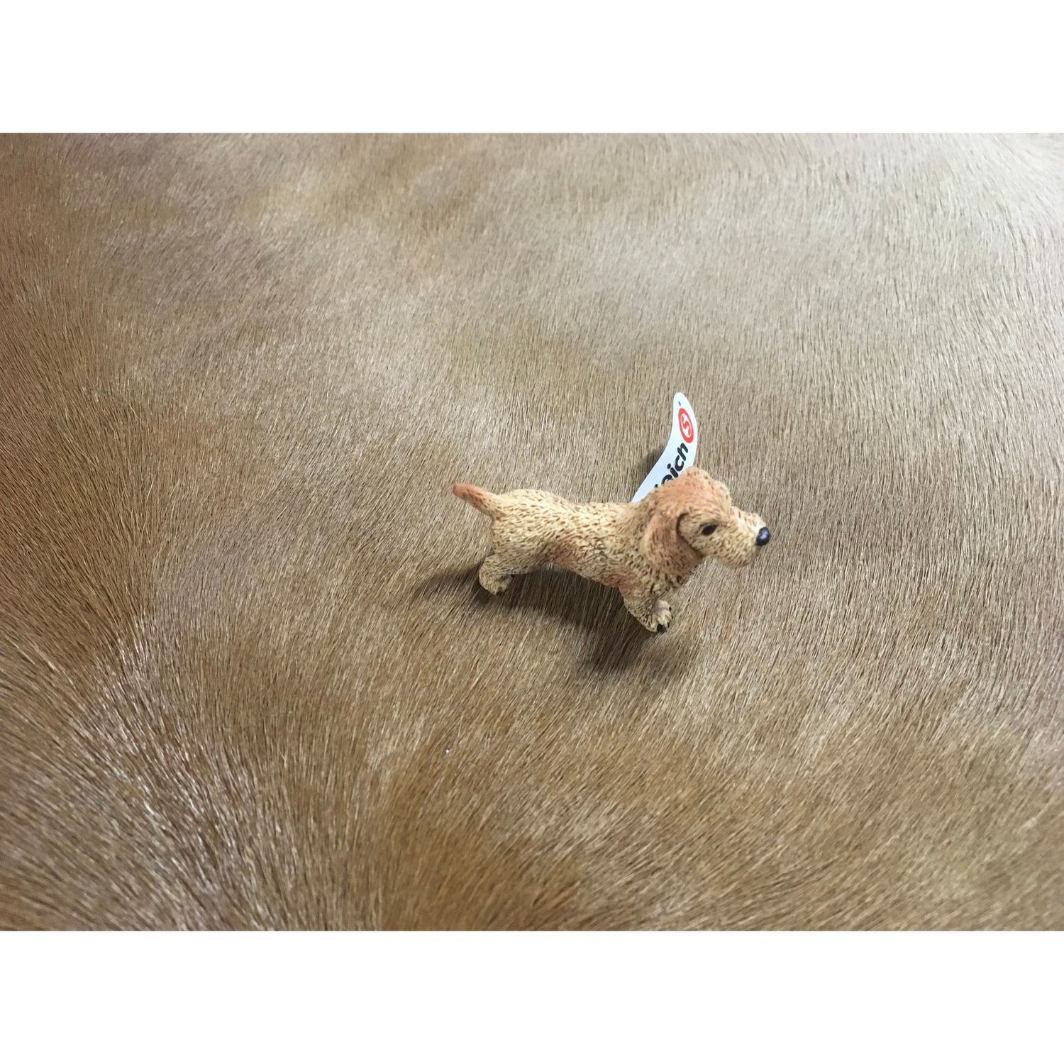 Schleich Dachshund