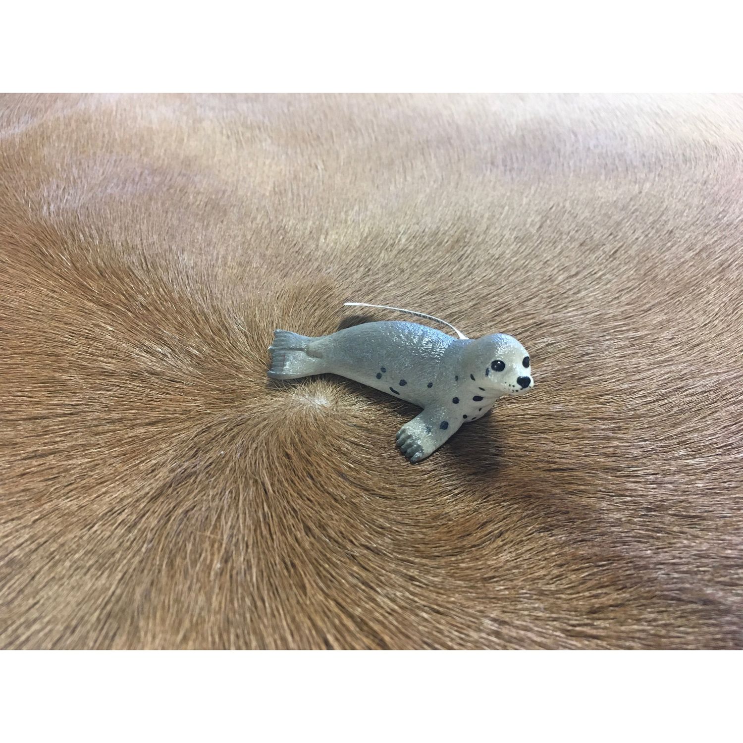 Seal Cub