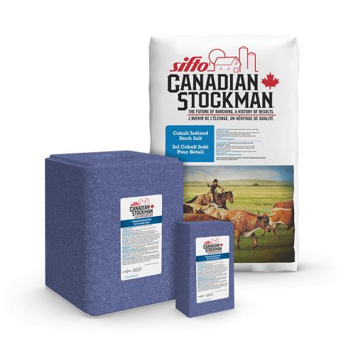 Sifto Salt Block - 2kg