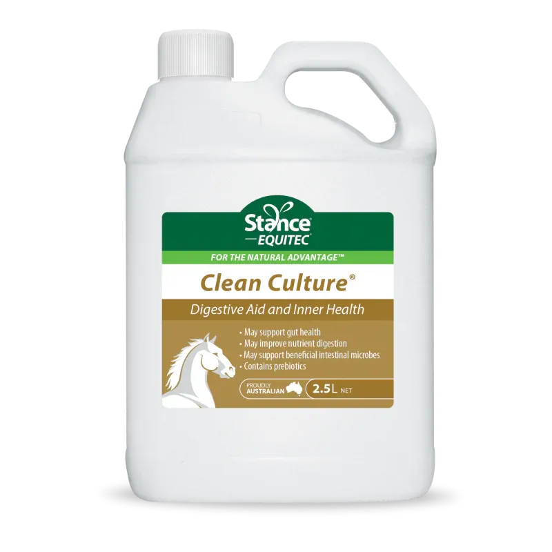 Stance Eq Clean Culture - 2.5 L