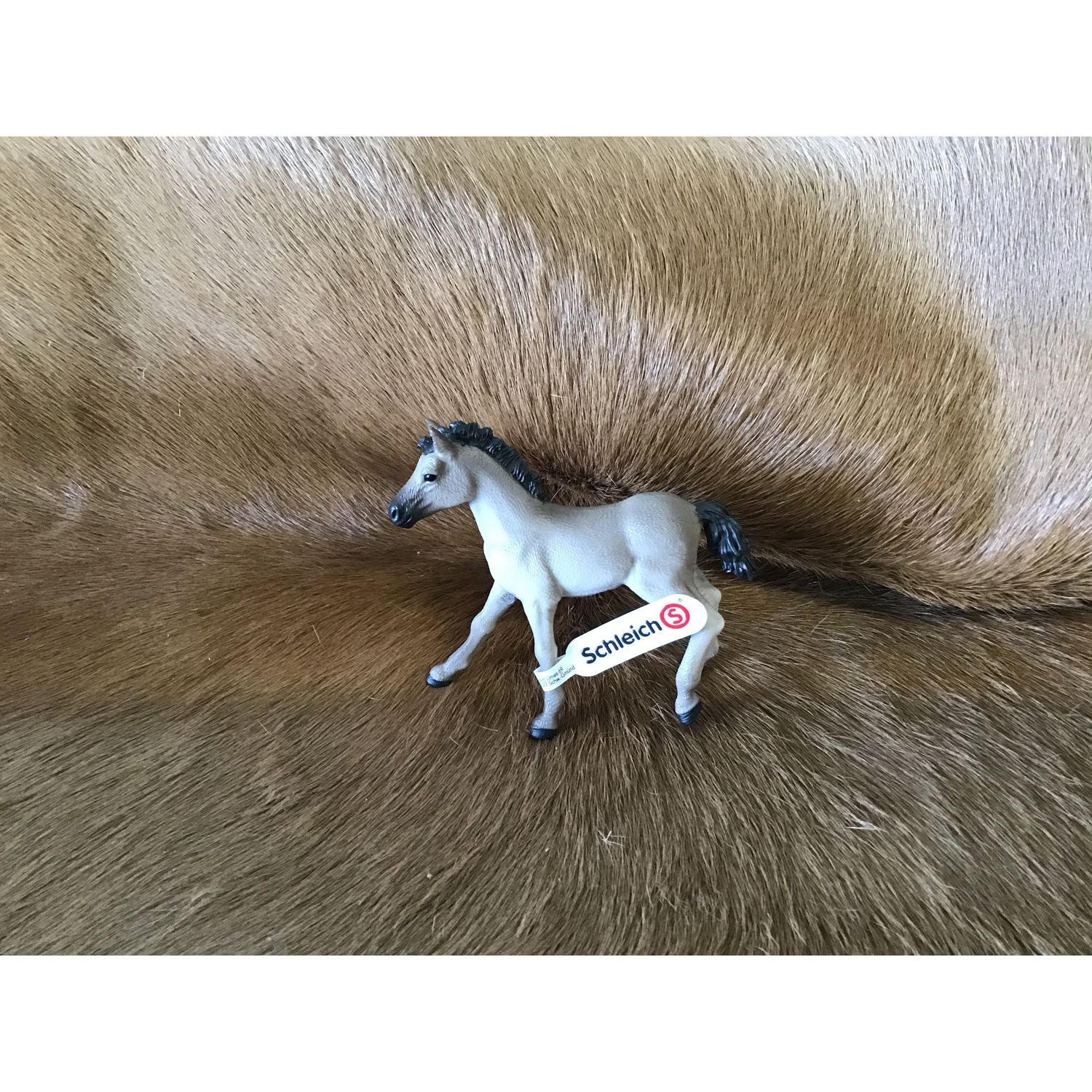 Schleich Criollo Definitivo Foal