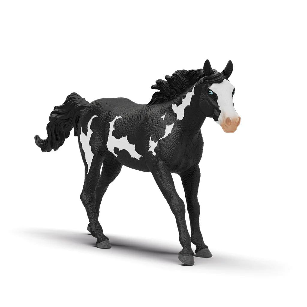 Schleich Paint Horse Gelding-1