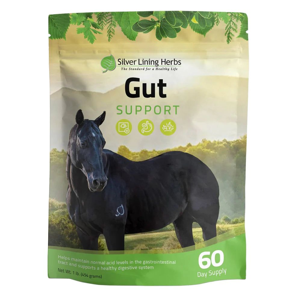 Silver Lining Herbs Gut Support-1 lb