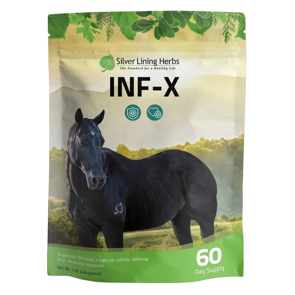 Silver Lining Herbs INF-X-1 lb