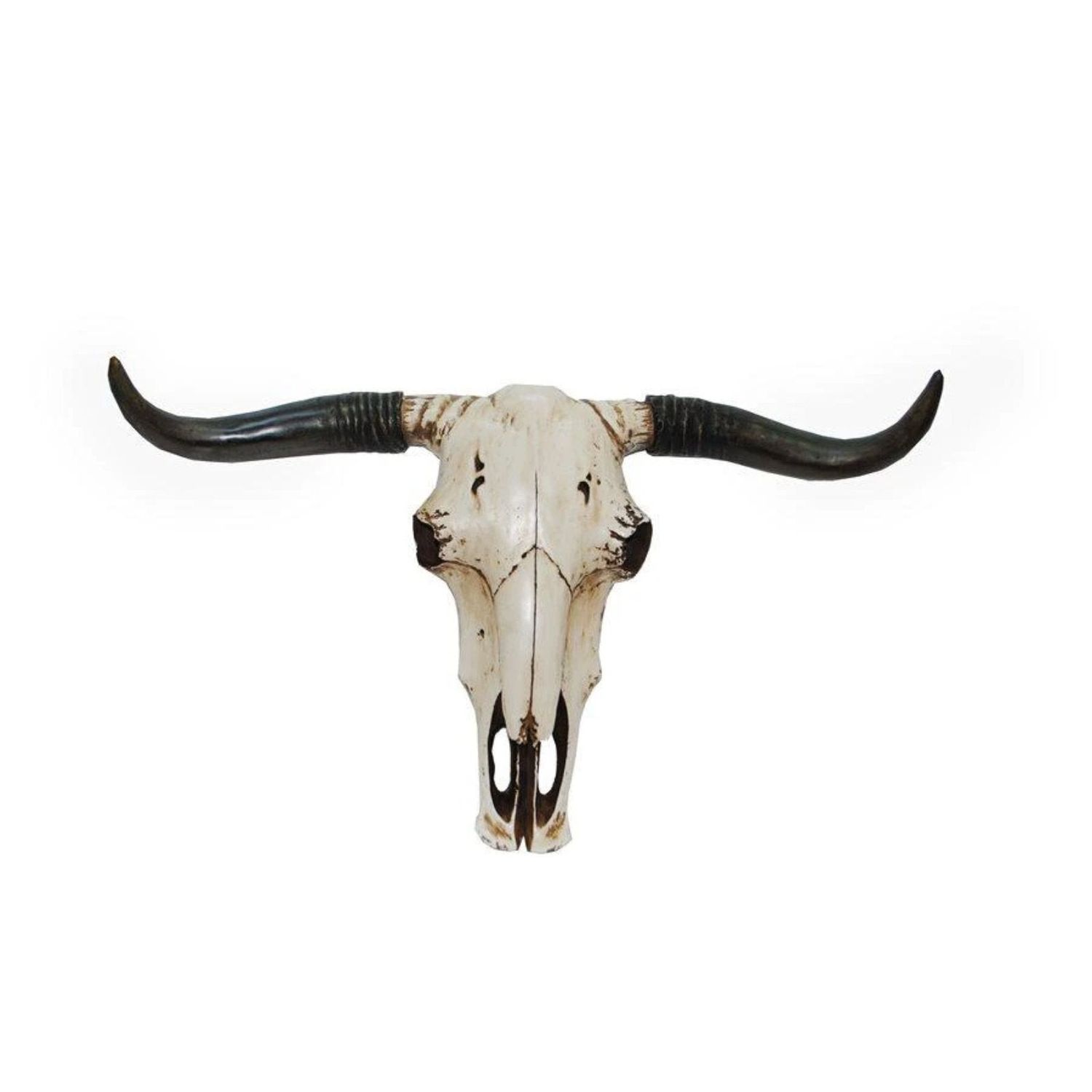 Steer Skull Wall Hanging