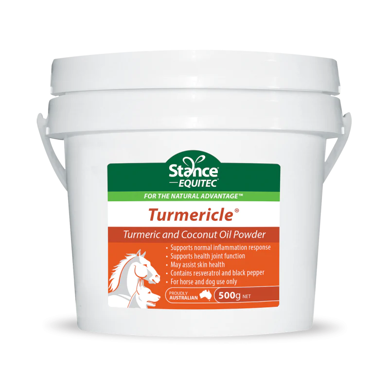 Stance Eq Turmericle - 500G