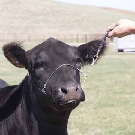 Sullivans Emergency Brake Cable Halter