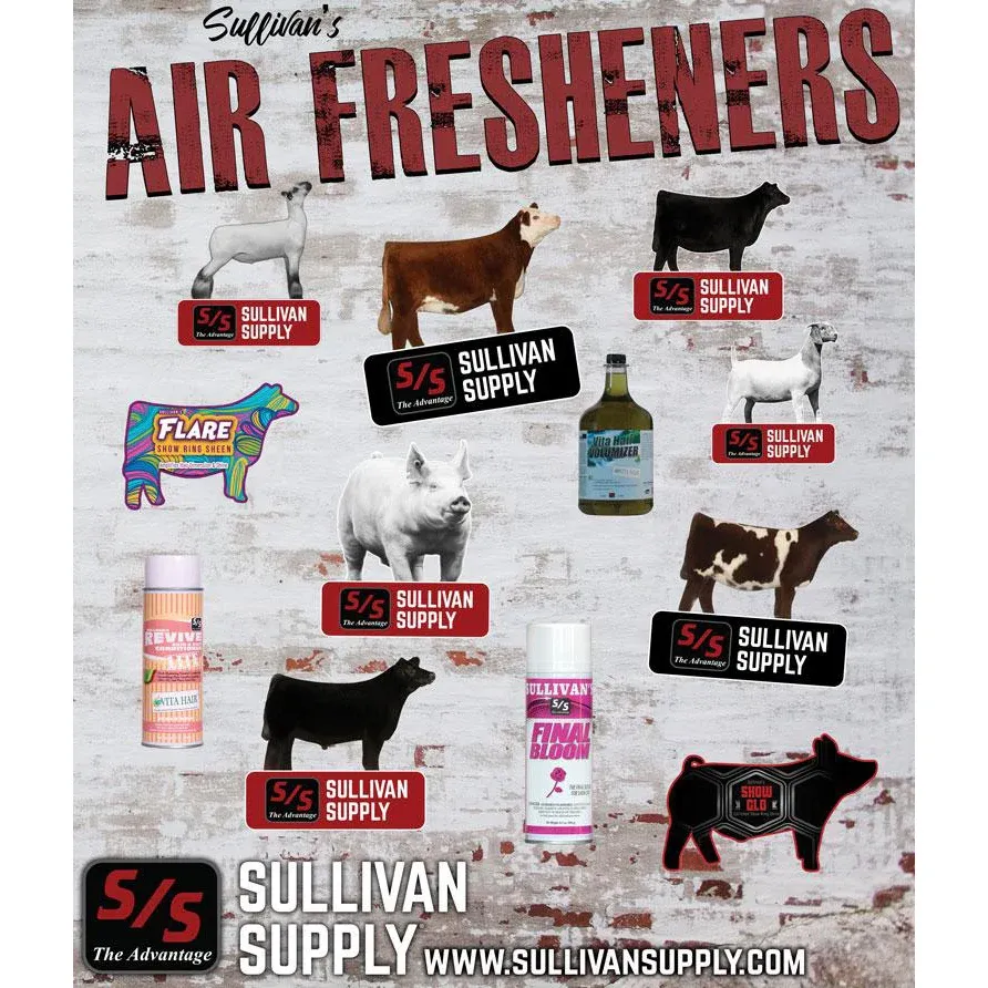 Sullivans Assorted Air Freshner
