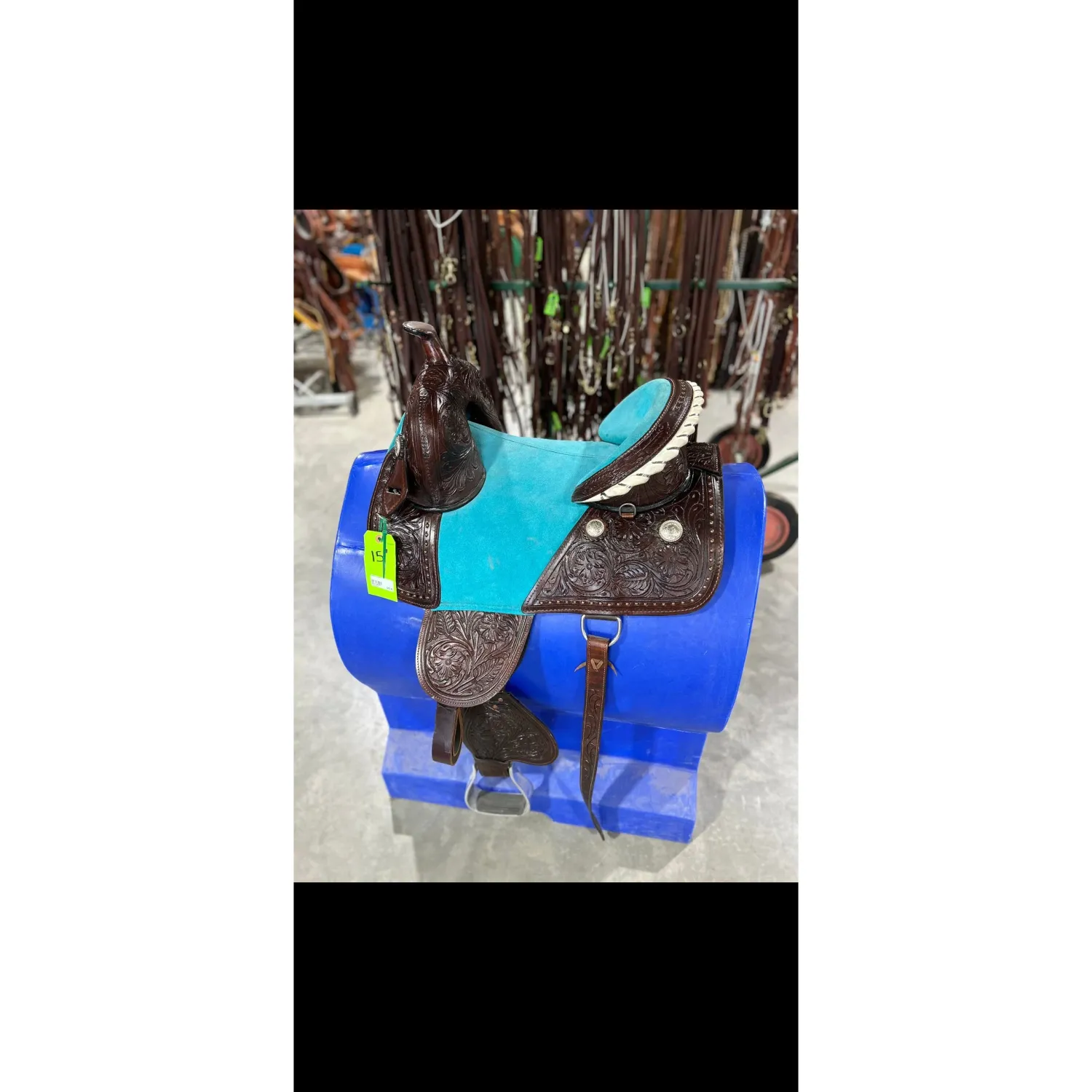 Treeless Saddles - Assorted Colors