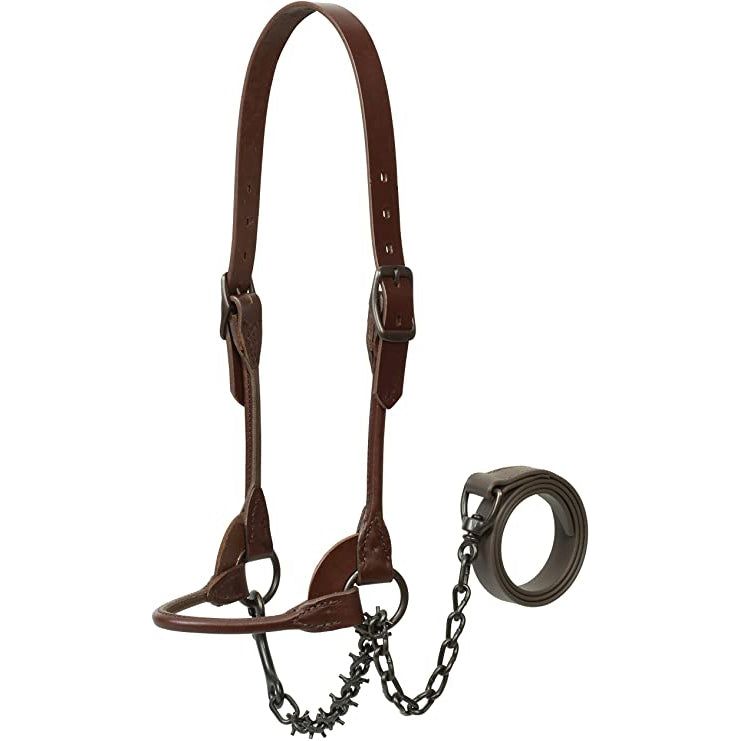 Weaver Brown Bombshell Show Halter with Pronged Lead Chain
