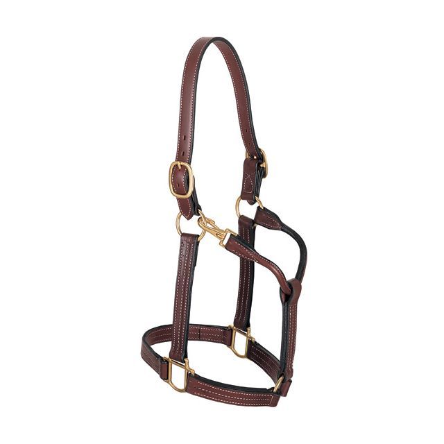 Weaver Leather 1" Track Halter Horse-1