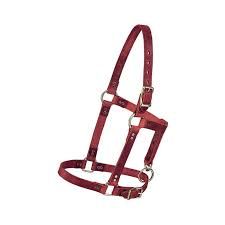Weaver 3/4" Riveted Halter Yearling