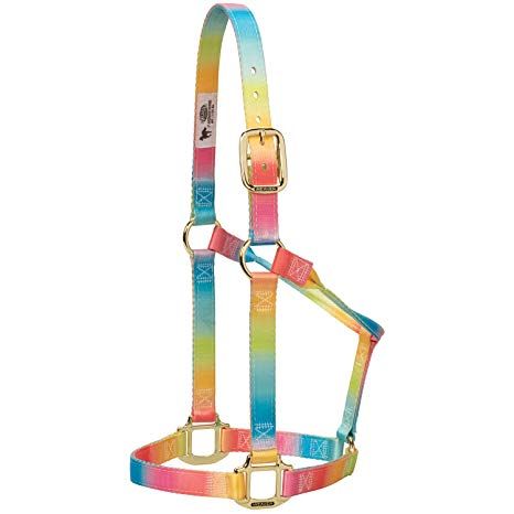Weaver Non Adj Halter Rainbow Average