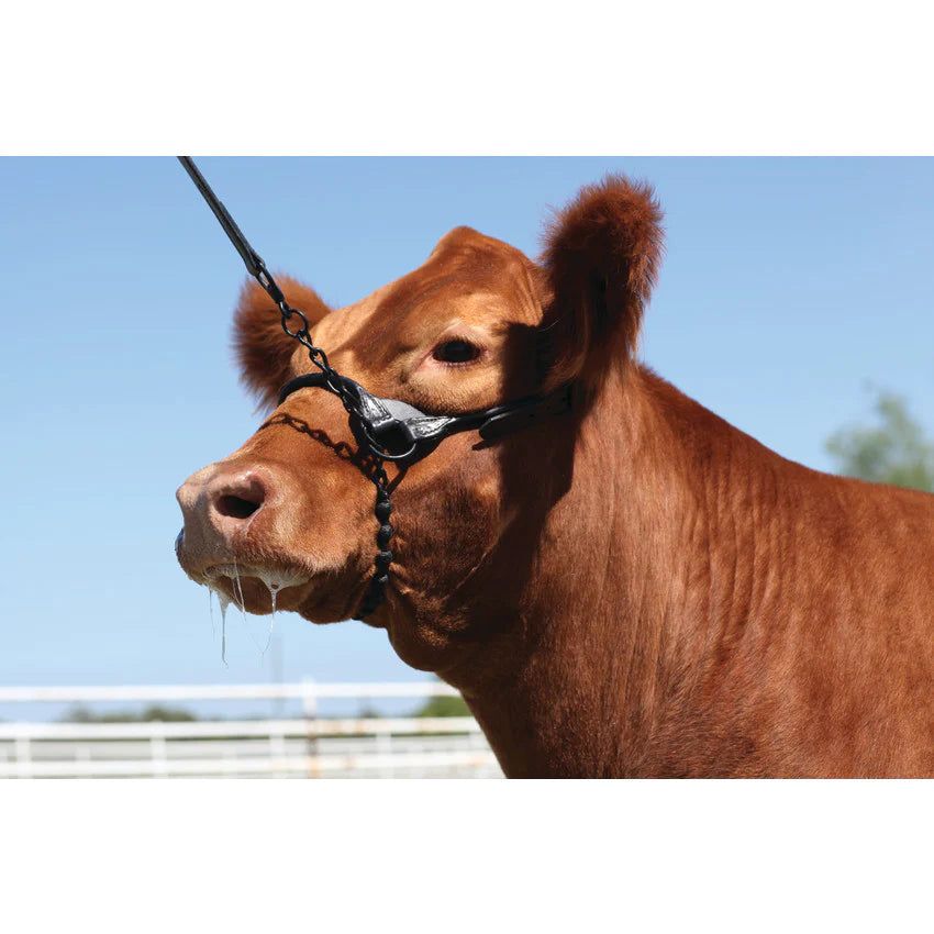 Weaver Braid Rawhide Chain Lead-Black