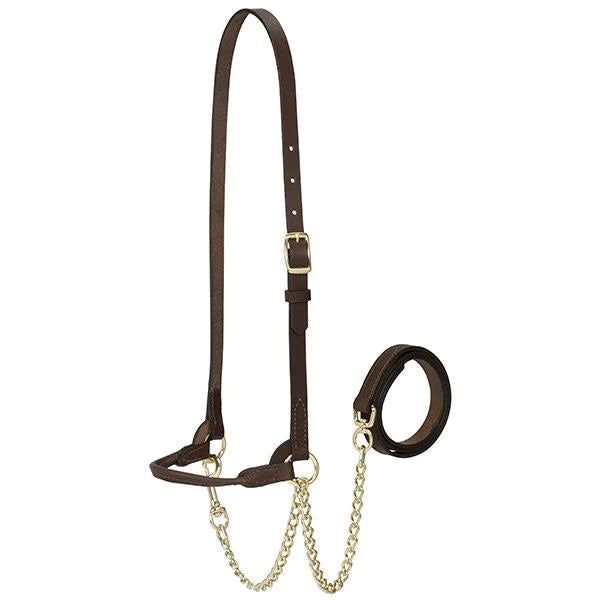 Weaver Dairy/Beef Rounded Show Halter - Brown Small