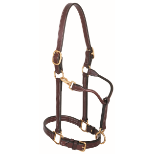 Weaver Leather 1" Track Halter Large/Stallion