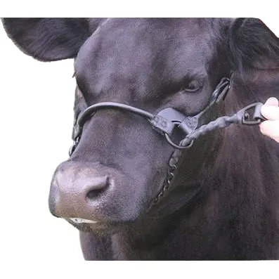 Sullivans 1ST Class Show Halter, Colour: BLACK, Size: S