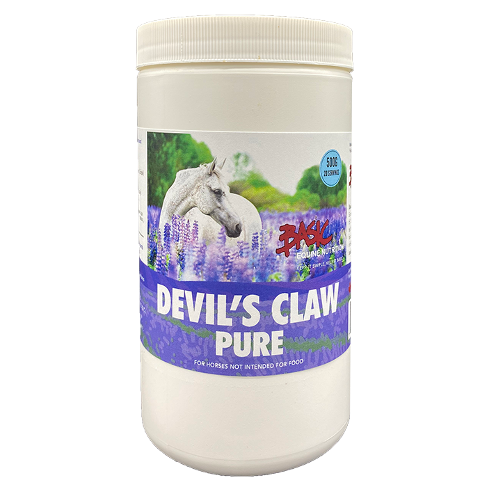 Basic Equine Devils Claw