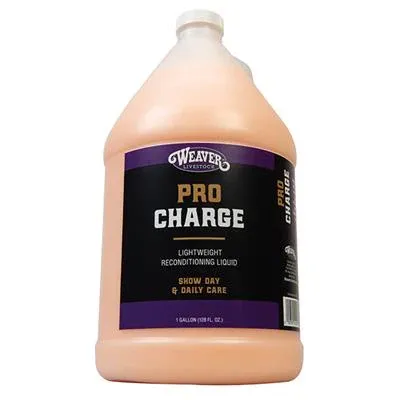Weaver Stierwalt ProCharge Reconditioning Liquid, Size: Gallon
