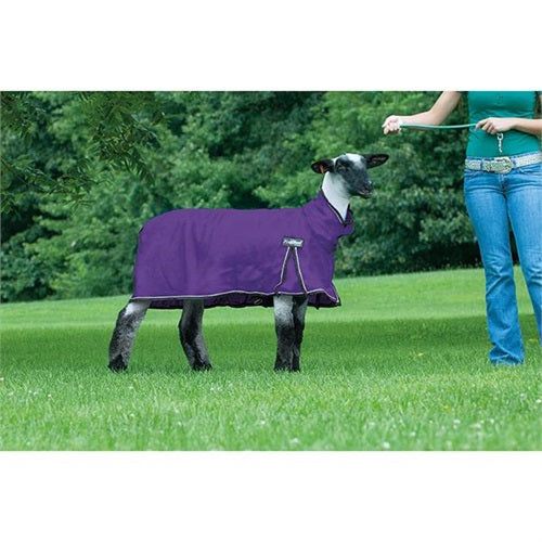 Weaver ProCool™ Sheep Blanket with Reflective Piping -Large