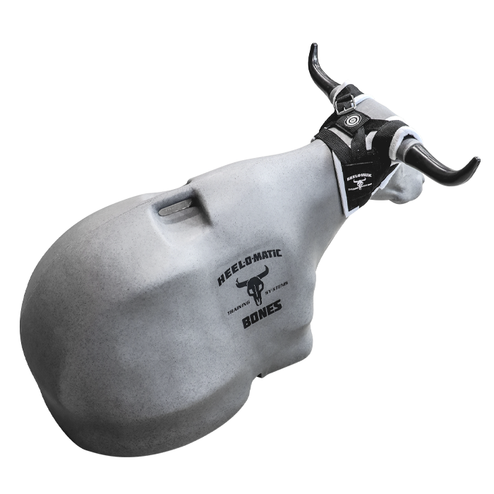 Smarty Rodeo Bones