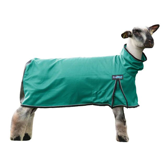 Weaver ProCool™ Sheep Blanket with Reflective Piping -Medium