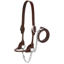 Weaver Dairy/Beef Rounded Show Halter Small - Brown