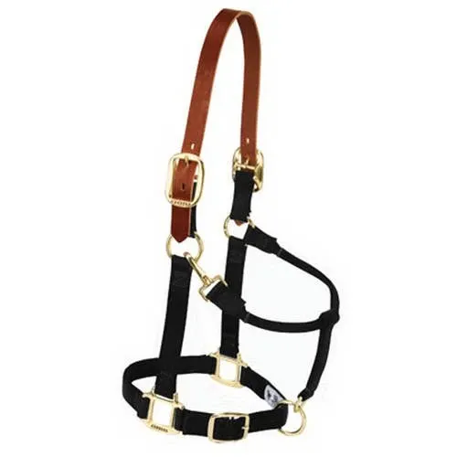 Weaver Leather Nylon Adjustable Breakaway Horse Halter - Average Horse, Color: Black
