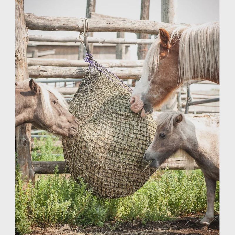 Eco Net Small Square Hay Net - Heavy Duty with D-ring