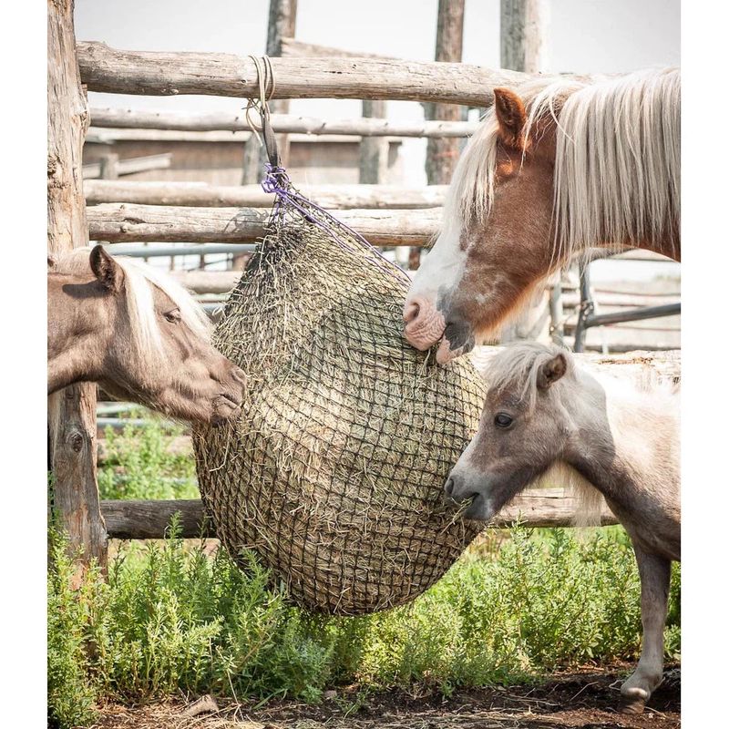 Eco Net Small Square Hay Net - Heavy Duty with D-ring