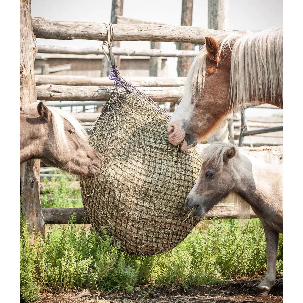 Eco Net Small Square Hay Net - Heavy Duty with D-ring, Color: Black, Size: 1"