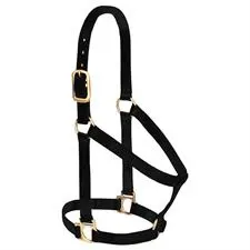 Weaver Basic Non-Adjustable Nylon Halter, 1" Large, Color: Black