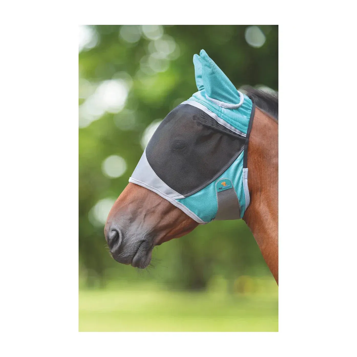 Shires Deluxe Fly Mask w/Ears, Color: Green, Size: Cob