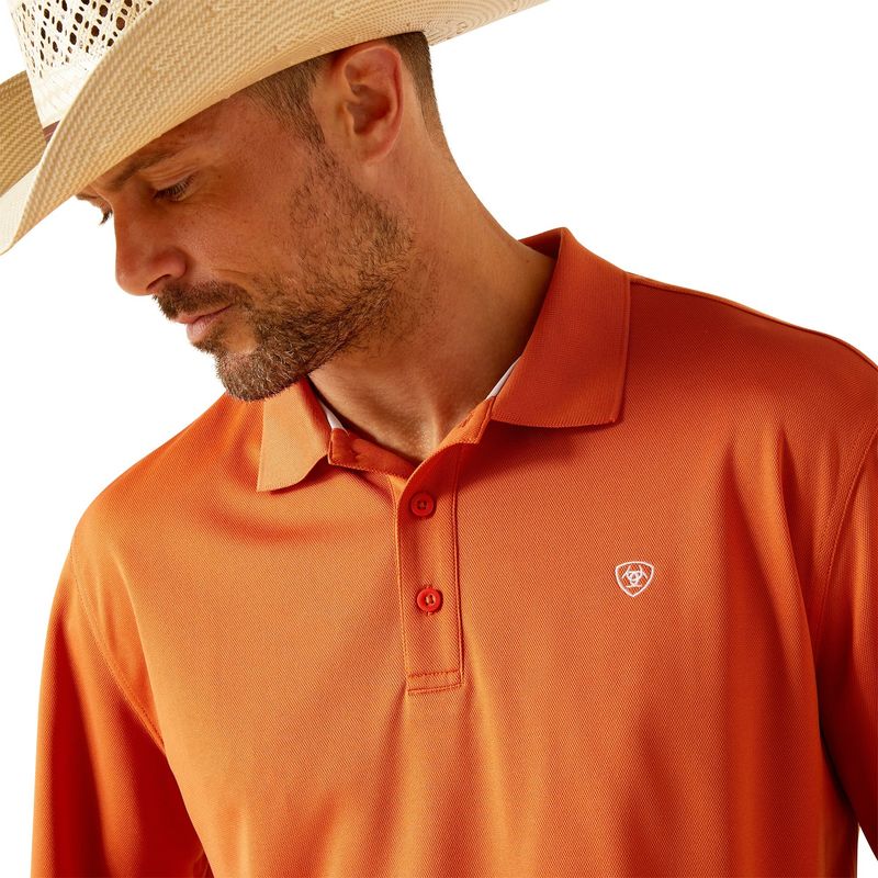 Ariat Men's Polo Short Sleeve Shirt - Foxes