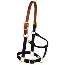 Weaver Leather Nylon Adjustable Breakaway Horse Halter - Large Horse, Color: Black