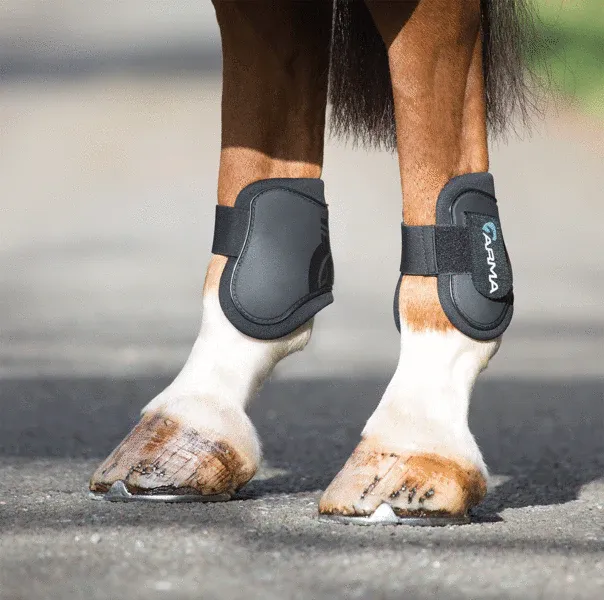 Arma Rear Fetlock Boots, Colour: BLACK, Size: Cob/Full