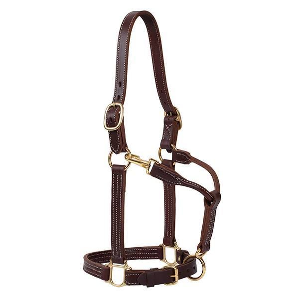 Weaver 1" Track Halter, Color: Canyon Rose