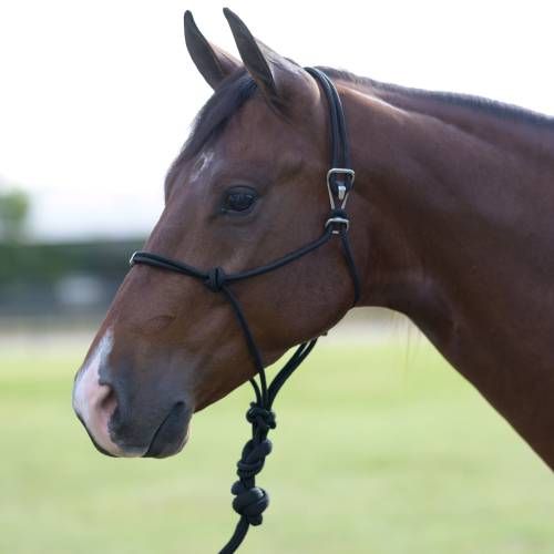 Professionals Choice Easy On Rope Halter-Mini-Multiple Colours, Colour: Black